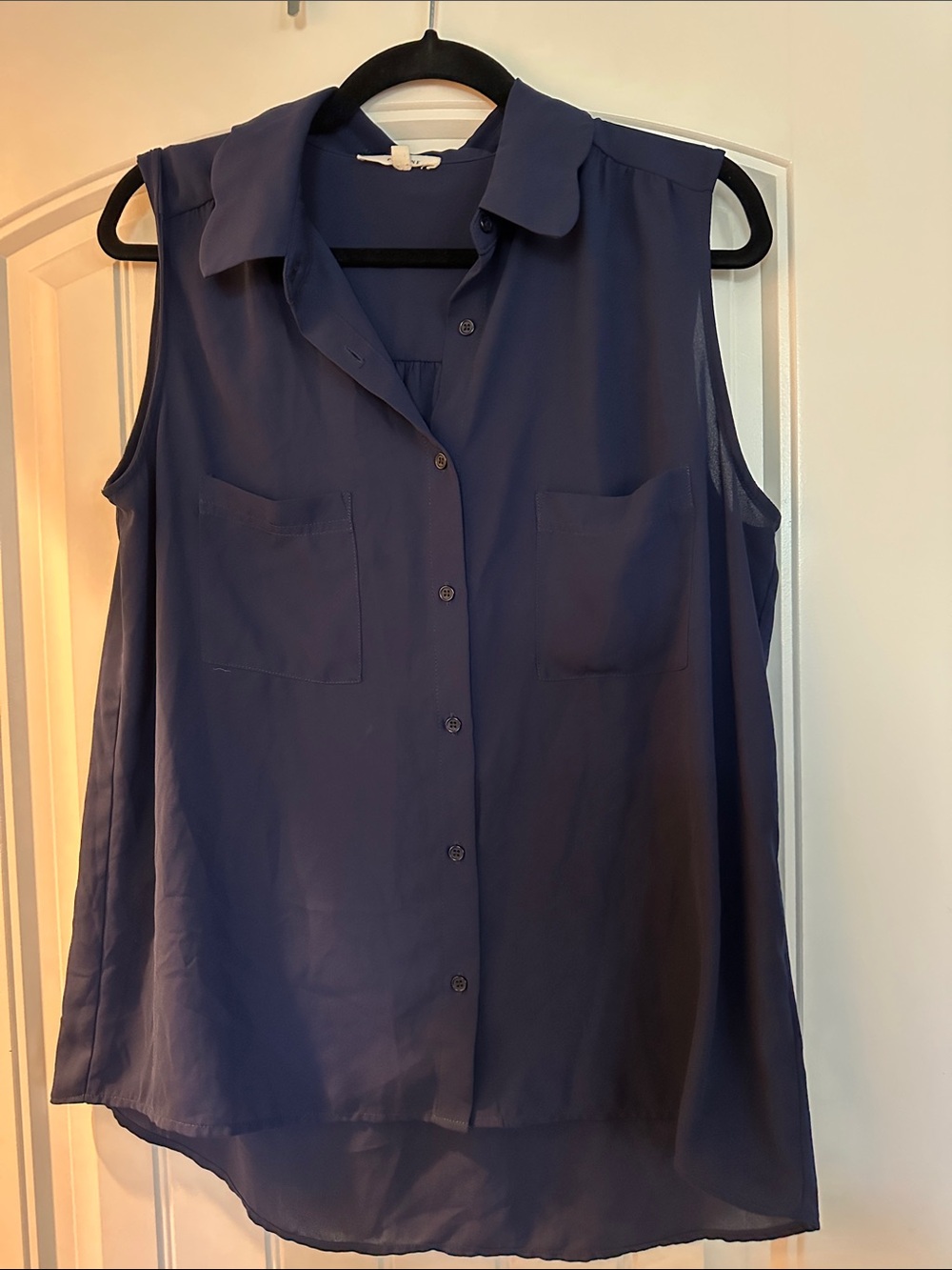 Pleione Navy Sleeveless Button-Down Blouse